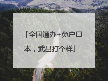 全国通办+免户口本，武昌打个样