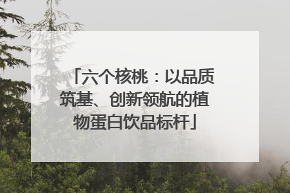 六个核桃：以品质筑基、创新领航的植物蛋白饮品标杆