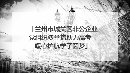 兰州市城关区非公企业党组织多举措助力高考 暖心护航学子圆梦
