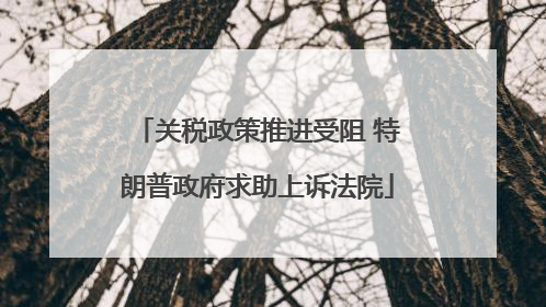 关税政策推进受阻 特朗普政府求助上诉法院