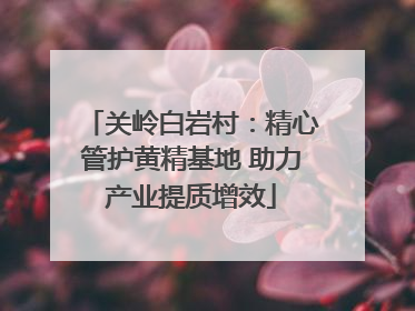 关岭白岩村：精心管护黄精基地 助力产业提质增效