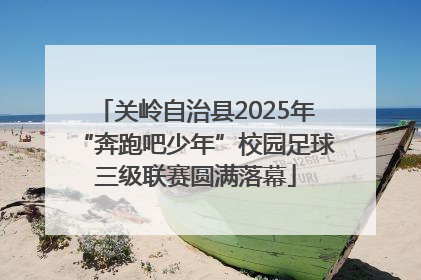 关岭自治县2025年“奔跑吧少年”校园足球三级联赛圆满落幕