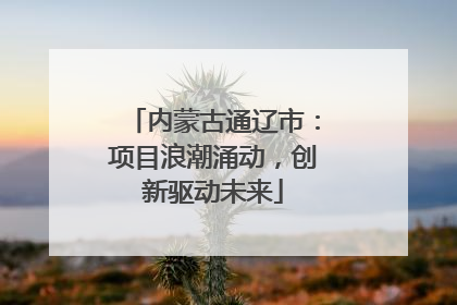 内蒙古通辽市：项目浪潮涌动，创新驱动未来