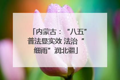 内蒙古：“八五”普法显实效 法治“细雨”润北疆
