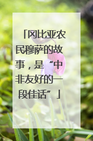 冈比亚农民穆萨的故事，是“中非友好的一段佳话”
