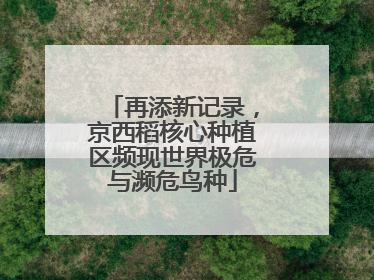 再添新记录，京西稻核心种植区频现世界极危与濒危鸟种