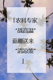 农科专家“战高温” 菇棚送来“清凉策”