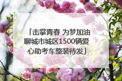 击掌青春 为梦加油 聊城市城区1500辆爱心助考车整装待发