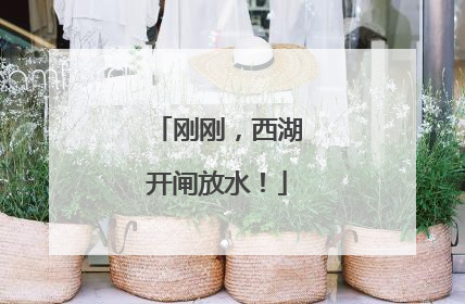 刚刚，西湖开闸放水！