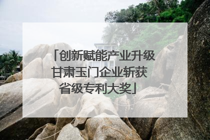 创新赋能产业升级 甘肃玉门企业斩获省级专利大奖