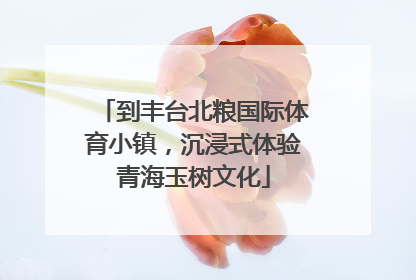 到丰台北粮国际体育小镇，沉浸式体验青海玉树文化