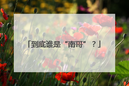 到底谁是“南哥”？