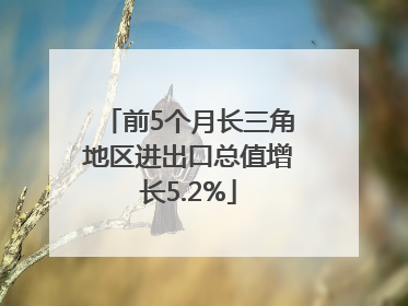 前5个月长三角地区进出口总值增长5.2%