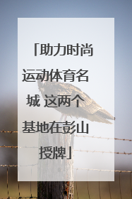 助力时尚运动体育名城 这两个基地在彭山授牌