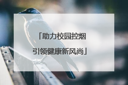 助力校园控烟 引领健康新风尚