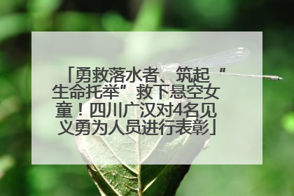 勇救落水者、筑起“生命托举”救下悬空女童！四川广汉对4名见义勇为人员进行表彰