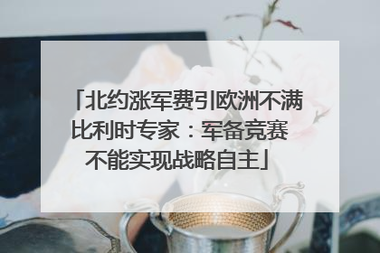 北约涨军费引欧洲不满 比利时专家：军备竞赛不能实现战略自主