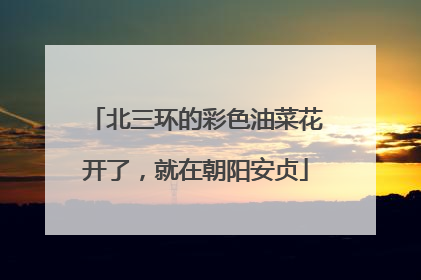 北三环的彩色油菜花开了，就在朝阳安贞