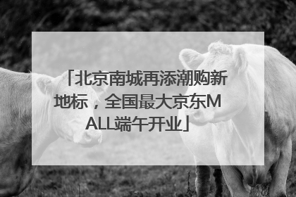 北京南城再添潮购新地标，全国最大京东MALL端午开业