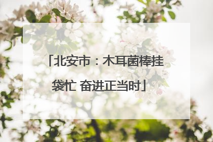 北安市：木耳菌棒挂袋忙 奋进正当时