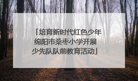 培育新时代红色少年 绵阳市桑枣小学开展少先队队前教育活动