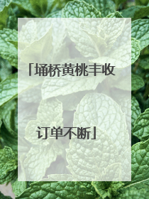 埇桥黄桃丰收 订单不断