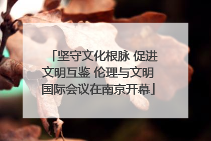 坚守文化根脉 促进文明互鉴 伦理与文明国际会议在南京开幕
