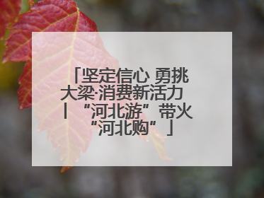 坚定信心 勇挑大梁·消费新活力丨“河北游”带火“河北购”