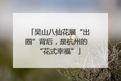 吴山八仙花展“出圈”背后，是杭州的“花式幸福”