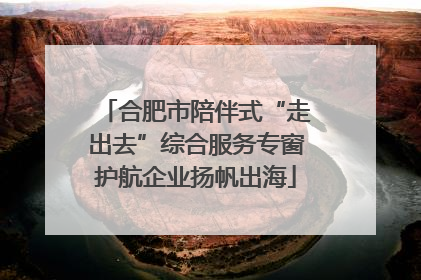 合肥市陪伴式“走出去”综合服务专窗护航企业扬帆出海