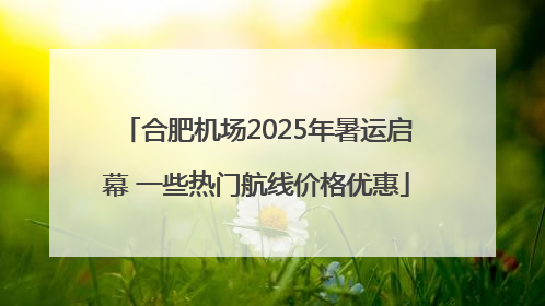 合肥机场2025年暑运启幕 一些热门航线价格优惠