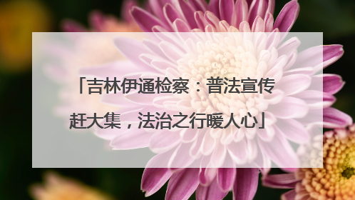 吉林伊通检察：普法宣传赶大集，法治之行暖人心
