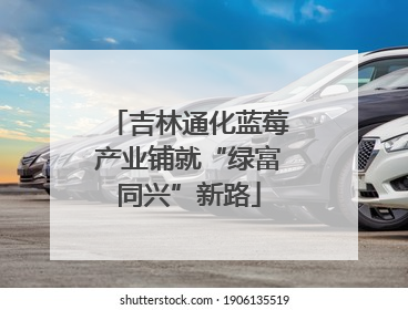 吉林通化蓝莓产业铺就“绿富同兴”新路