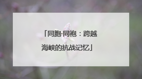 同胞·同袍：跨越海峡的抗战记忆