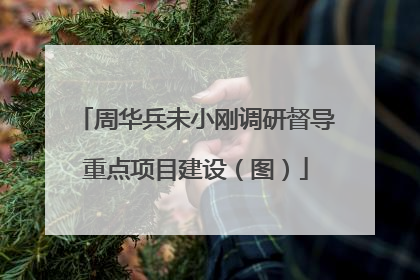 周华兵未小刚调研督导重点项目建设（图）