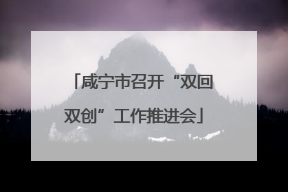 咸宁市召开“双回双创”工作推进会