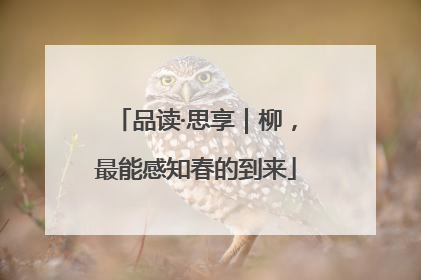 品读·思享｜柳，最能感知春的到来