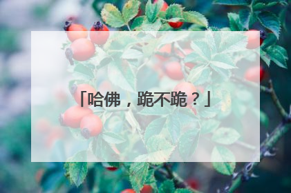 哈佛，跪不跪？