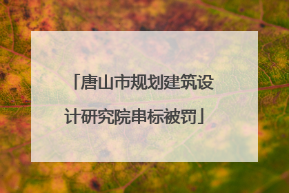 唐山市规划建筑设计研究院串标被罚