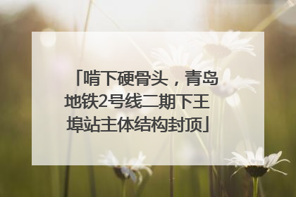 啃下硬骨头，青岛地铁2号线二期下王埠站主体结构封顶
