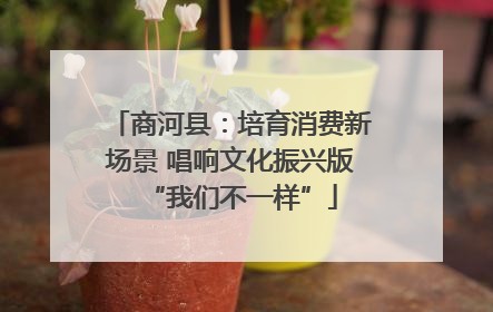 商河县：培育消费新场景 唱响文化振兴版“我们不一样”