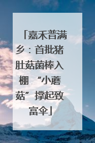 嘉禾普满乡：首批猪肚菇菌棒入棚 “小蘑菇”撑起致富伞