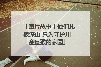 图片故事丨他们扎根深山 只为守护川金丝猴的家园