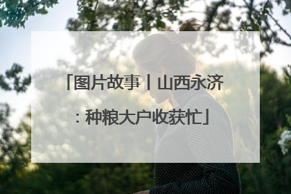 图片故事丨山西永济：种粮大户收获忙