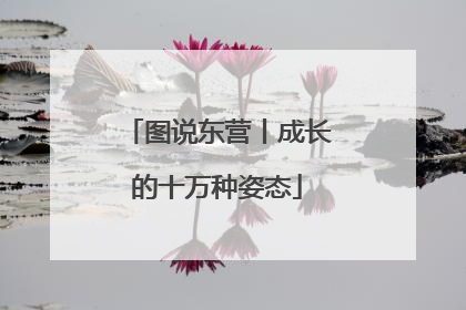图说东营丨成长的十万种姿态