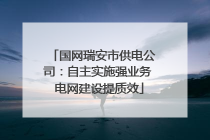 国网瑞安市供电公司：自主实施强业务 电网建设提质效