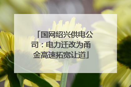国网绍兴供电公司：电力迁改为甬金高速拓宽让道