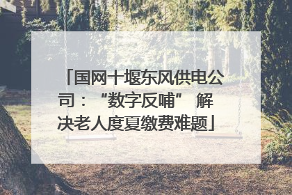 国网十堰东风供电公司：“数字反哺” 解决老人度夏缴费难题