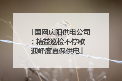 国网庆阳供电公司:精益巡检不停歇 迎峰度夏保供电