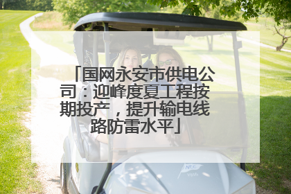 国网永安市供电公司：迎峰度夏工程按期投产，提升输电线路防雷水平